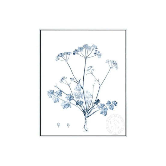 Antique Botanical in Blue IV – White Canvas