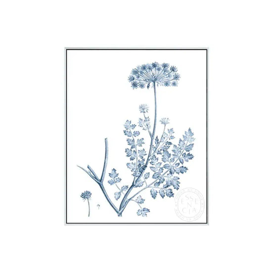 Antique Botanical in Blue V – White Canvas