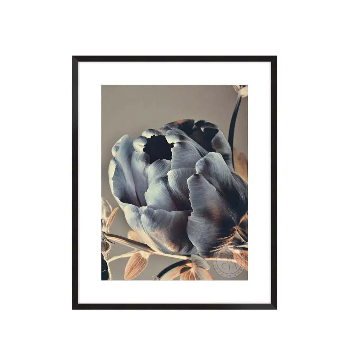 Framed artwork of a gray tulip on a beige background