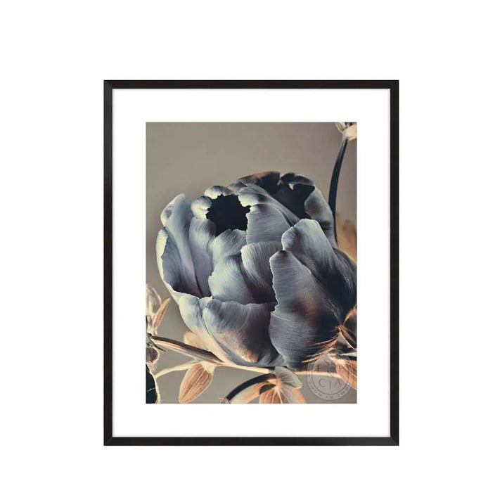 Framed artwork of a gray tulip on a beige background