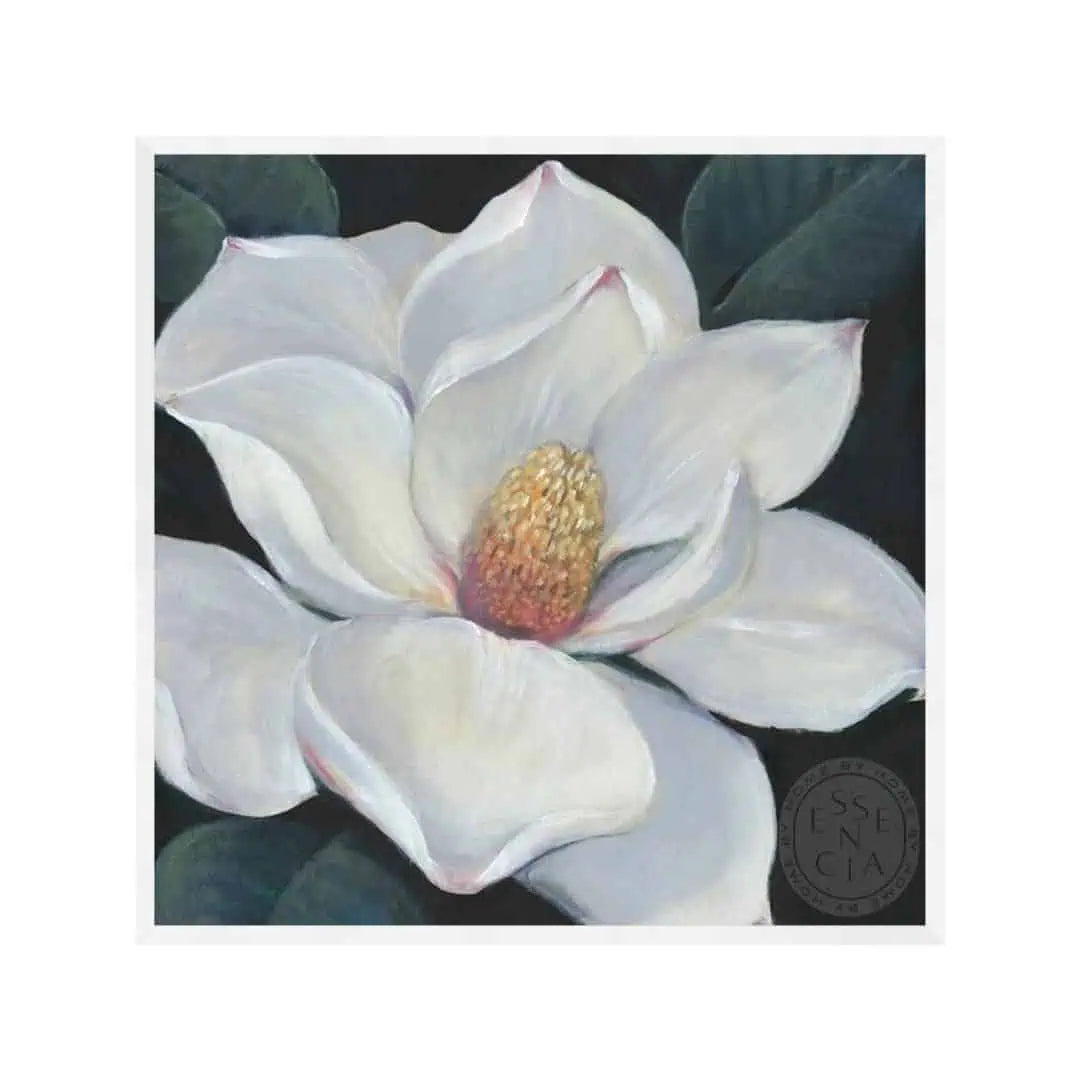 Blooming Magnolia II – White Frame