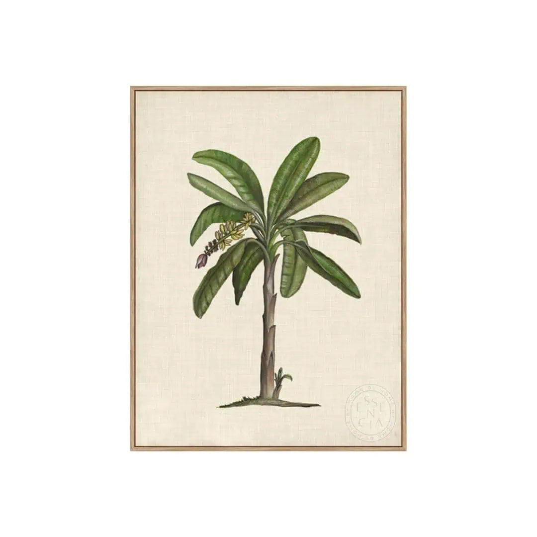 British Palms II – Natural Canvas