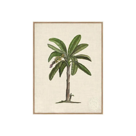 British Palms II – Natural Canvas
