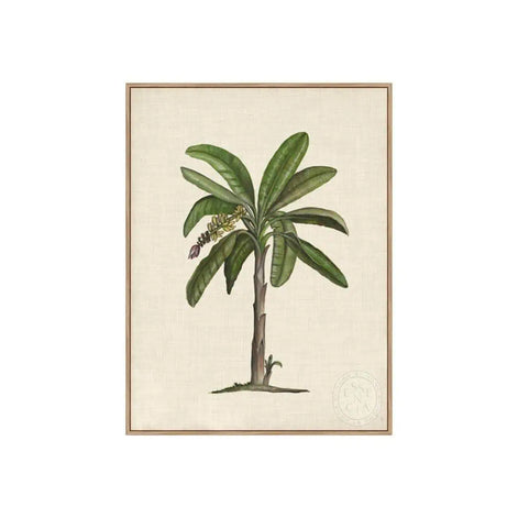 British Palms II – Natural Canvas