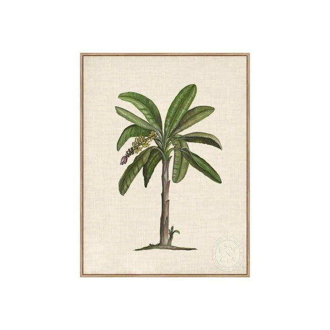 British Palms II – Natural Canvas