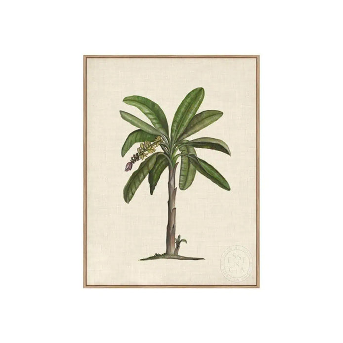 British Palms II – Natural Canvas