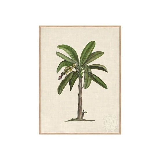 British Palms II – Natural Canvas