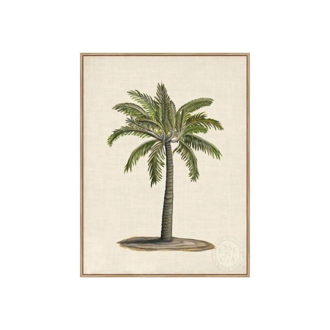 British Palms I – Natural Canvas