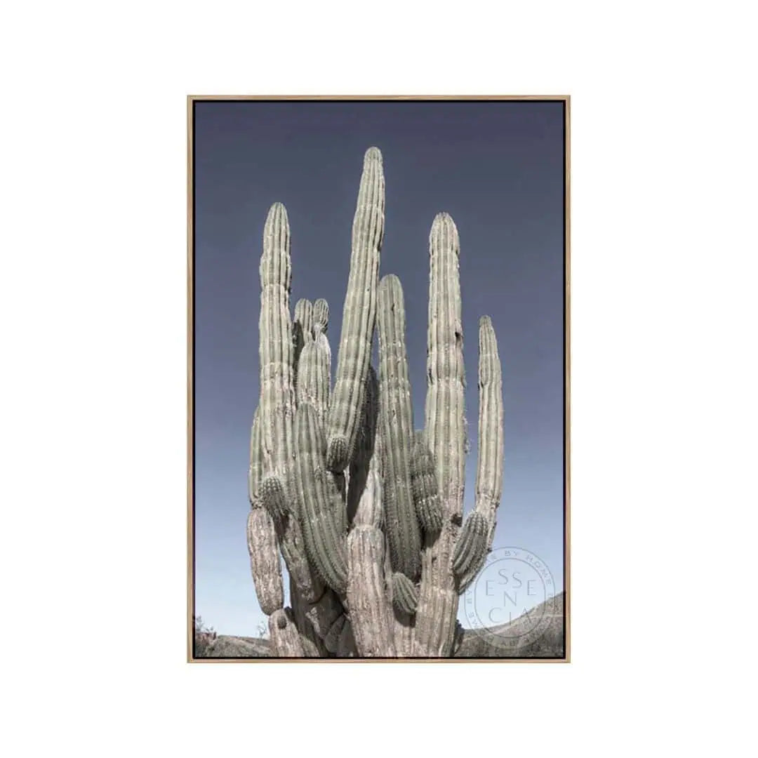 Cactus Portrait – Natural Canvas