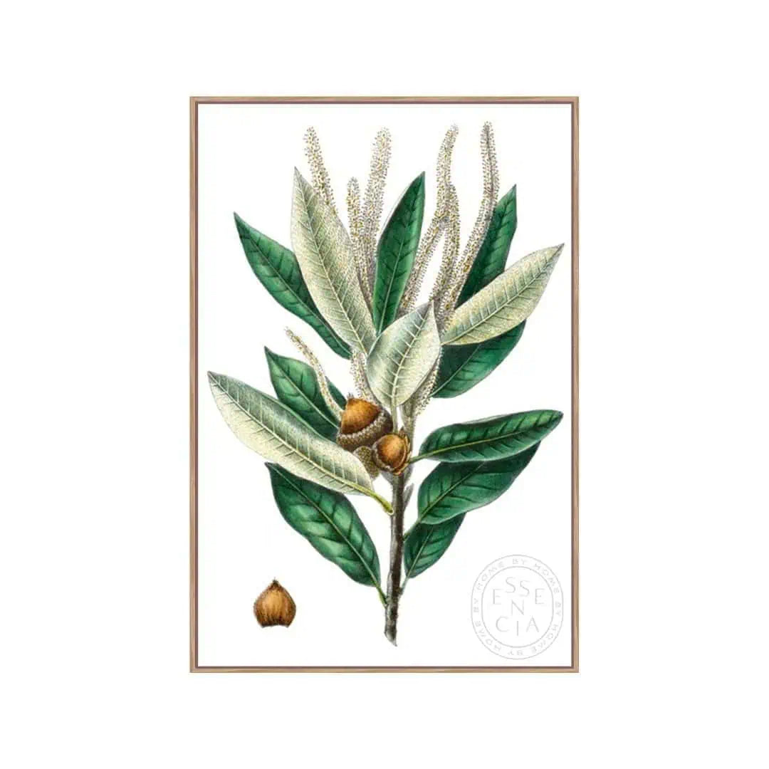 Dense Flowered Oak – Natural Canvas