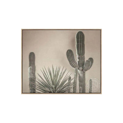 Desert Plants – Natural Canvas