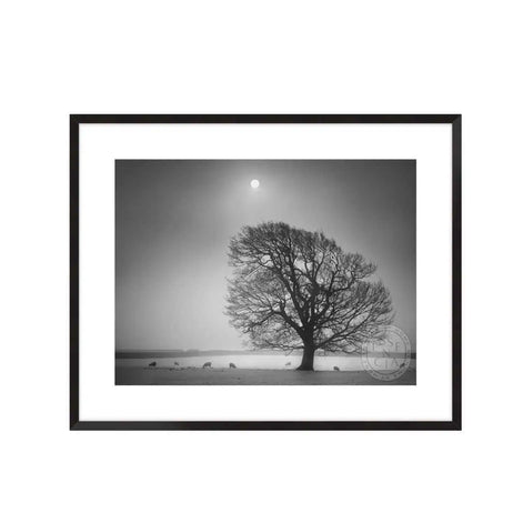 Evening Light II – Black Frame