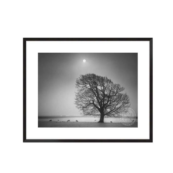Evening Light II – Black Frame