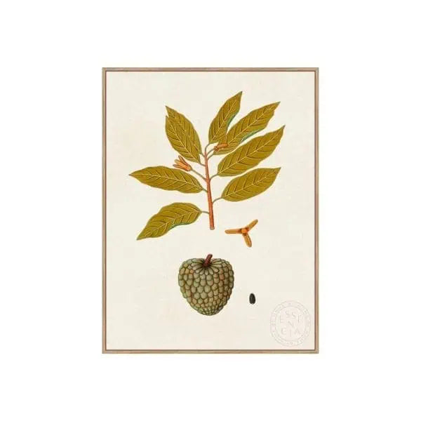 Exotic Botanicals VII – Natural Canvas