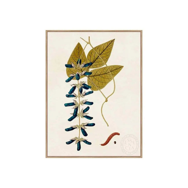 Exotic Botanicals VIII – Natural Canvas