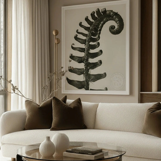 Polystichum Munitum – White Frame