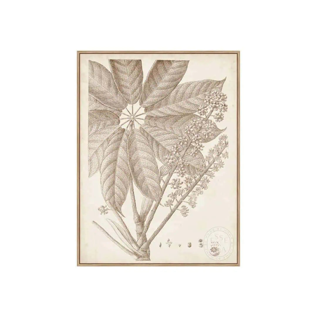 Sepia Exotic Plants V – Natural Canvas
