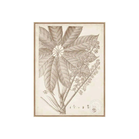 Sepia Exotic Plants V – Natural Canvas