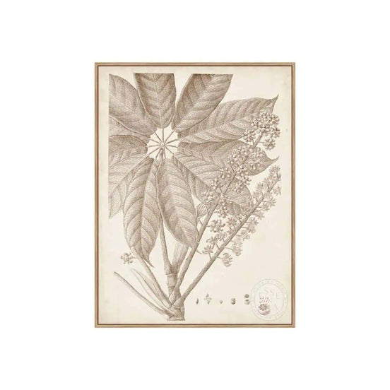 Sepia Exotic Plants V – Natural Canvas