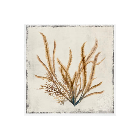 Yellow Coral I - White Frame