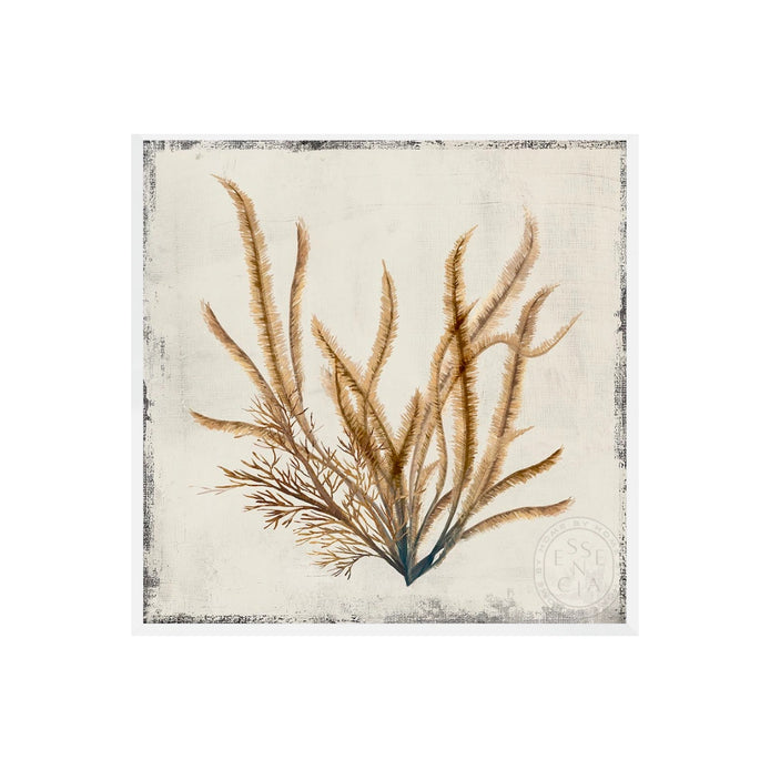 Yellow Coral I - White Frame