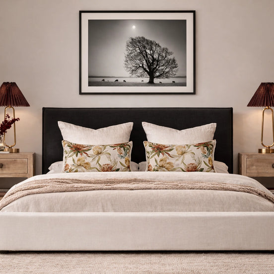 Evening Light II – Black Frame